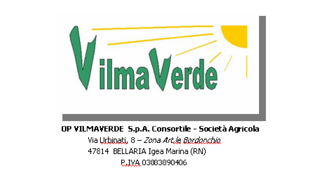 Vilma Verde-100